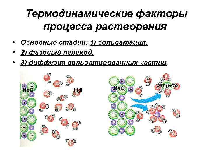 Термодинамические факторы процесса растворения • Основные стадии: 1) сольватация, • 2) фазовый переход, •