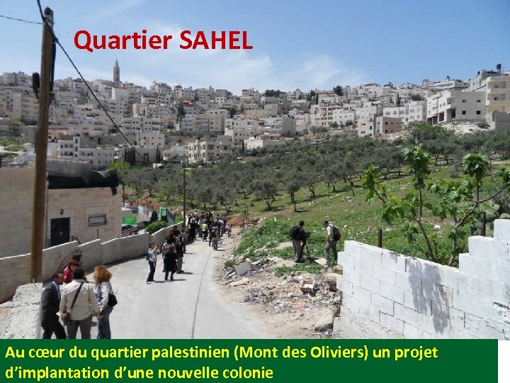 Quartier SAHEL Au cœur du quartier palestinien (Mont des Oliviers) un projet d’implantation d’une