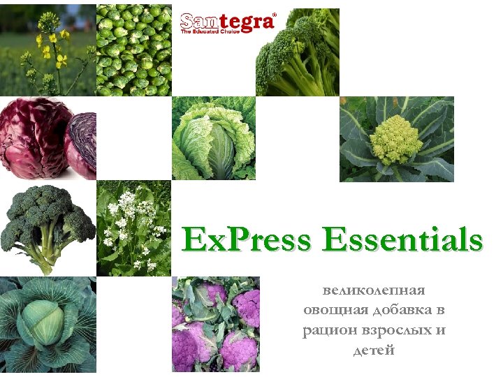 Ex. Press Essentials великолепная овощная добавка в рацион взрослых и детей 