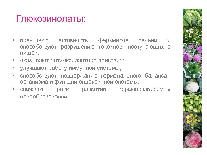 Глюкозинолаты: • повышают активность ферментов печени и способствуют разрушению токсинов, поступающих с пищей; •