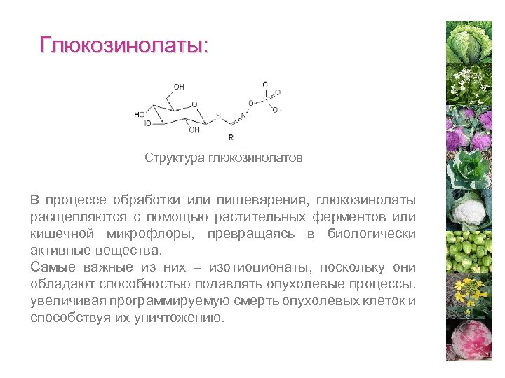 Глюкозинолаты: Структура глюкозинолатов В процессе обработки или пищеварения, глюкозинолаты расщепляются с помощью растительных ферментов