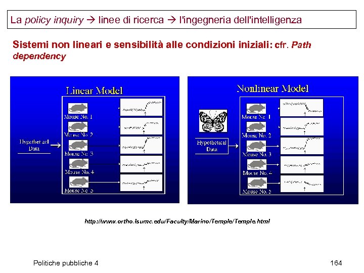 La policy inquiry linee di ricerca l'ingegneria dell'intelligenza Sistemi non lineari e sensibilità alle