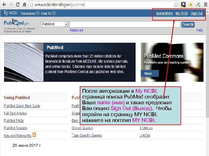 После авторизации в My NCBI, страница поиска Pub. Med отобразит Ваше name (имя) и