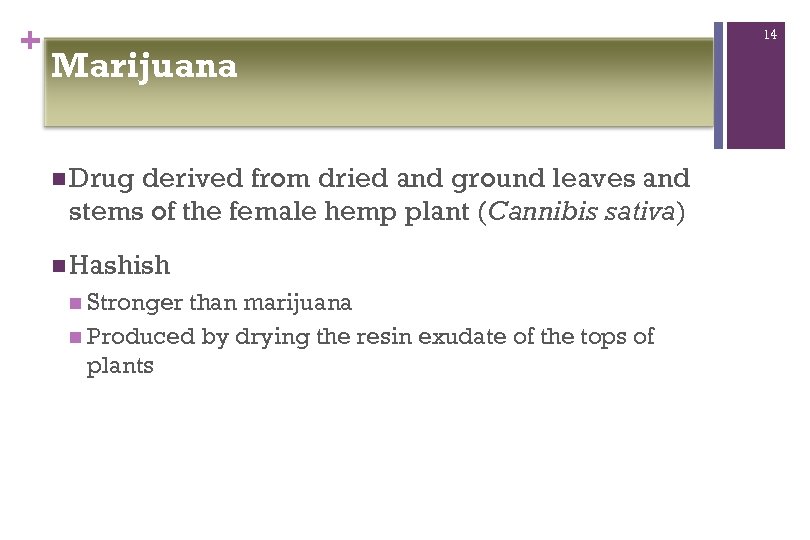 + 14 Marijuana n Drug derived from dried and ground leaves and stems of