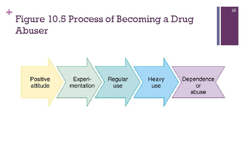 + 28 Figure 10. 5 Process of Becoming a Drug Abuser 