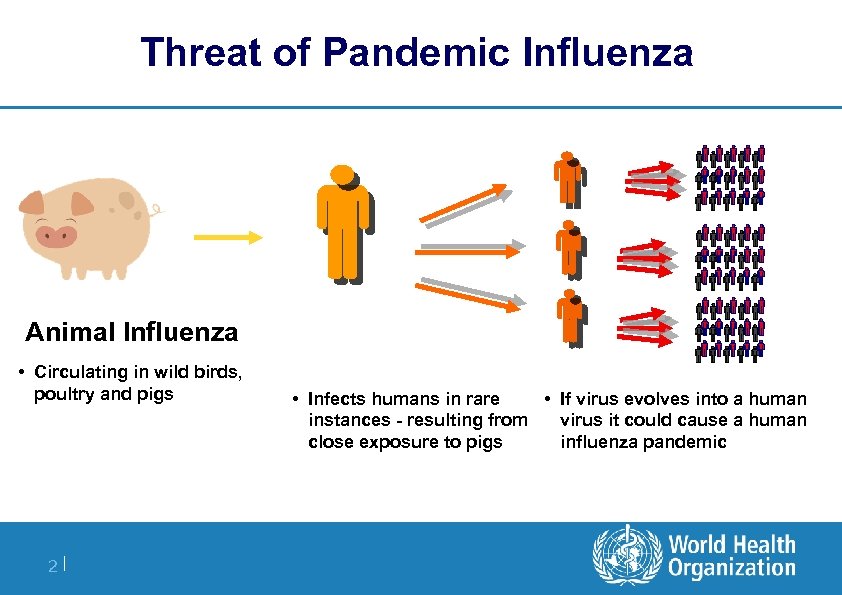 Threat of Pandemic Influenza Animal Influenza • Circulating in wild birds, poultry and pigs