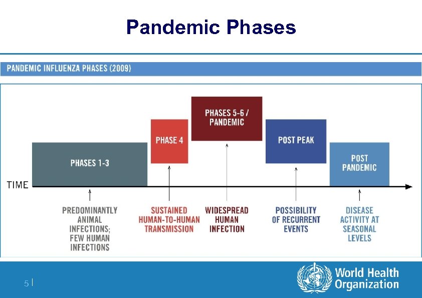 Pandemic Phases 5| 