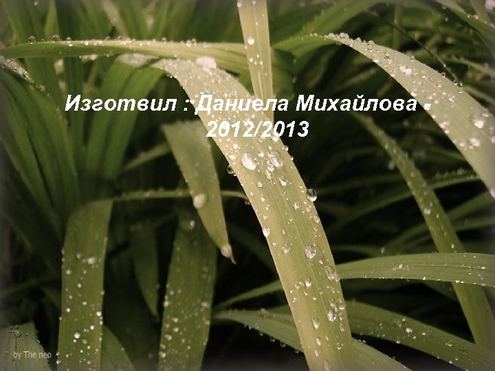 Изготвил : Даниела Михайлова 2012/2013 