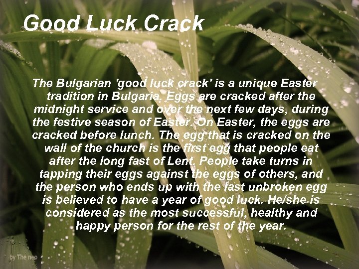 Good Luck Crack The Bulgarian 'good luck crack' is a unique Easter tradition in