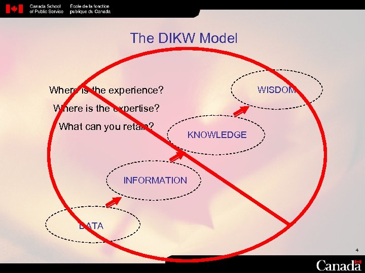 The DIKW Model Where is the experience? WISDOM Where is the expertise? What can