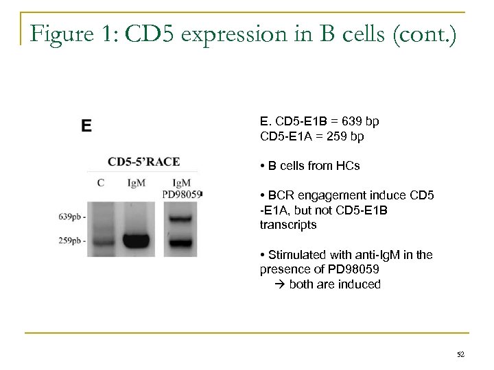 Figure 1: CD 5 expression in B cells (cont. ) E. CD 5 -E