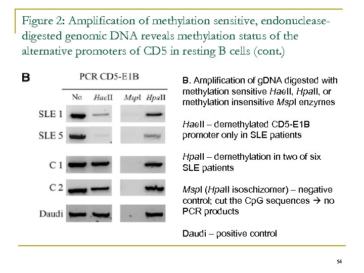 Figure 2: Amplification of methylation sensitive, endonucleasedigested genomic DNA reveals methylation status of the