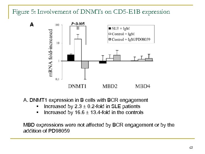 Figure 5: Involvement of DNMTs on CD 5 -E 1 B expression A. DNMT