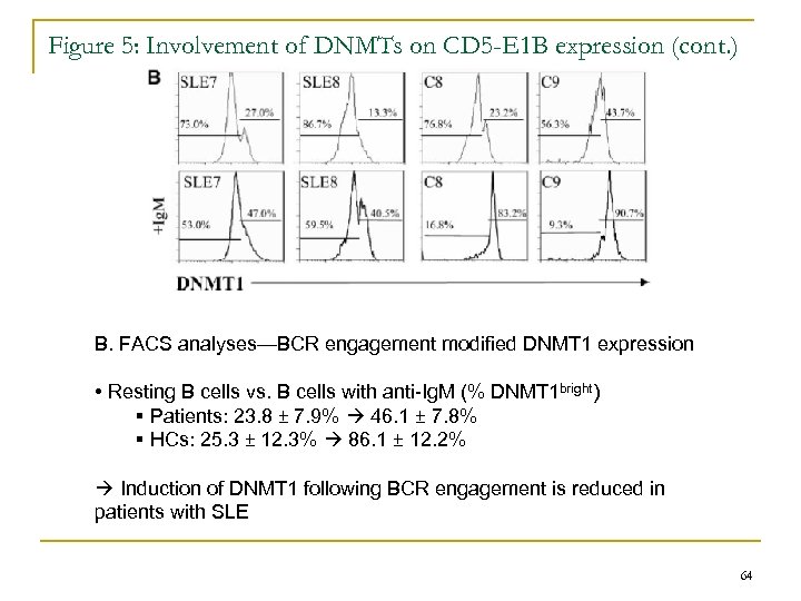 Figure 5: Involvement of DNMTs on CD 5 -E 1 B expression (cont. )