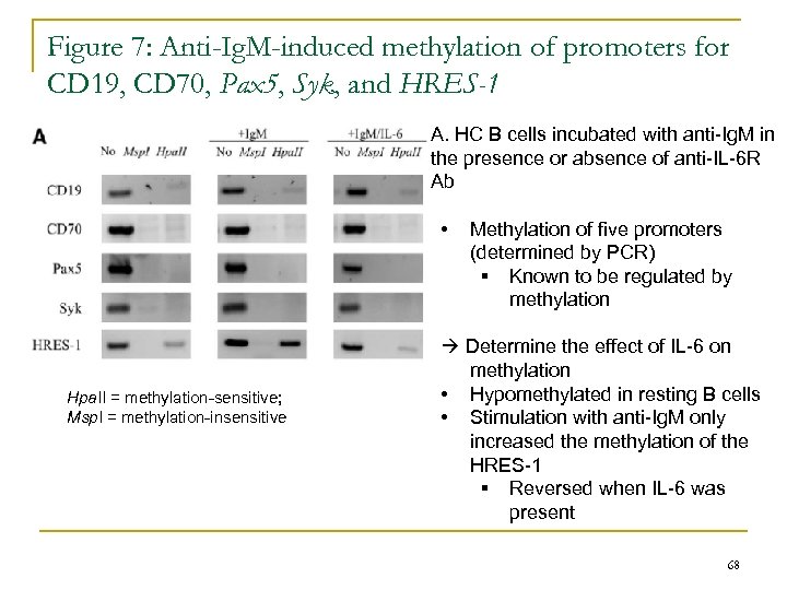Figure 7: Anti-Ig. M-induced methylation of promoters for CD 19, CD 70, Pax 5,