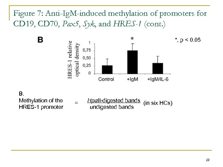 Figure 7: Anti-Ig. M-induced methylation of promoters for CD 19, CD 70, Pax 5,
