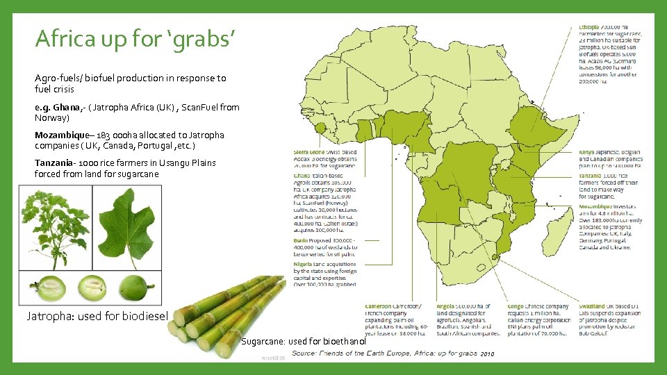 Africa up for ‘grabs’ Agro-fuels/ biofuel production in response to fuel crisis e. g.