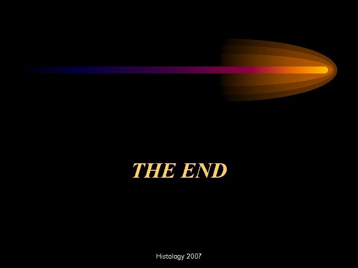 THE END Histology 2007 
