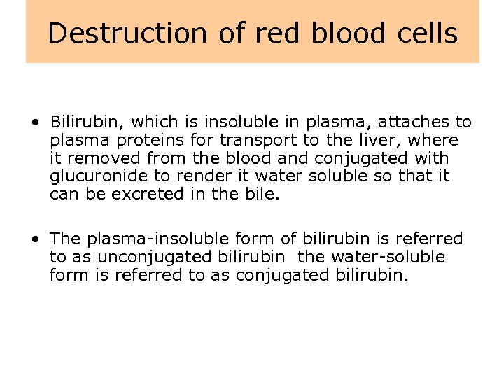 Destruction of red blood cells • Bilirubin, which is insoluble in plasma, attaches to