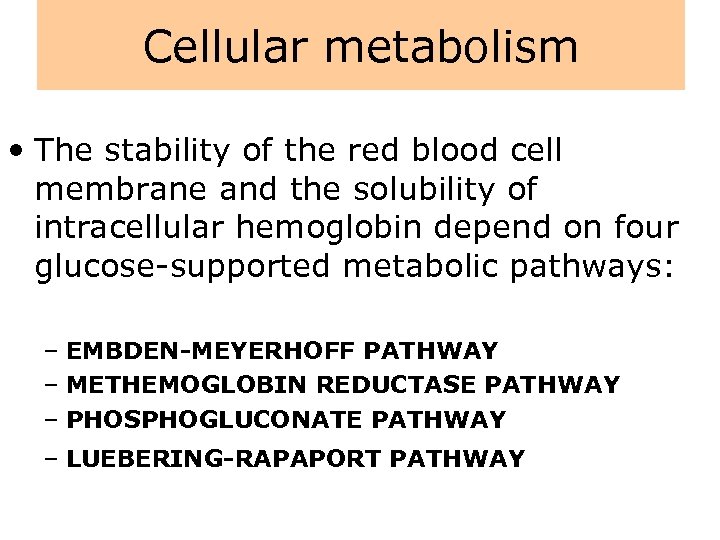 Cellular metabolism • The stability of the red blood cell membrane and the solubility