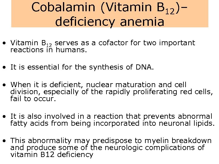 Cobalamin (Vitamin B 12)– deficiency anemia • Vitamin B 12 serves as a cofactor