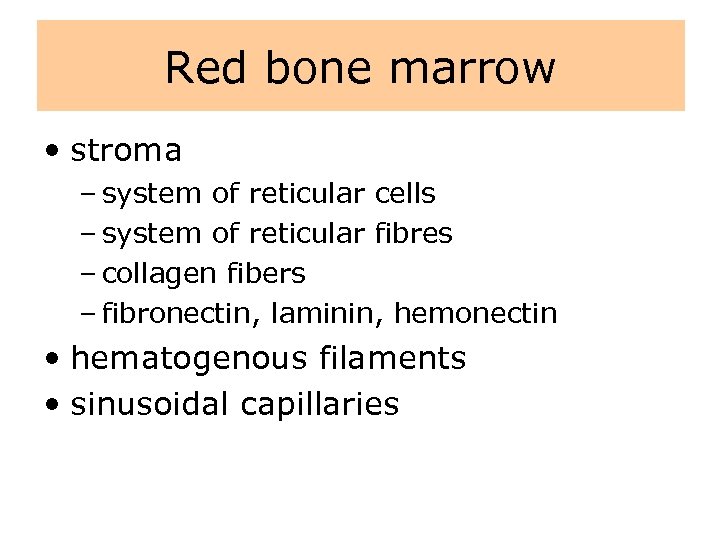 Red bone marrow • stroma – system of reticular cells – system of reticular