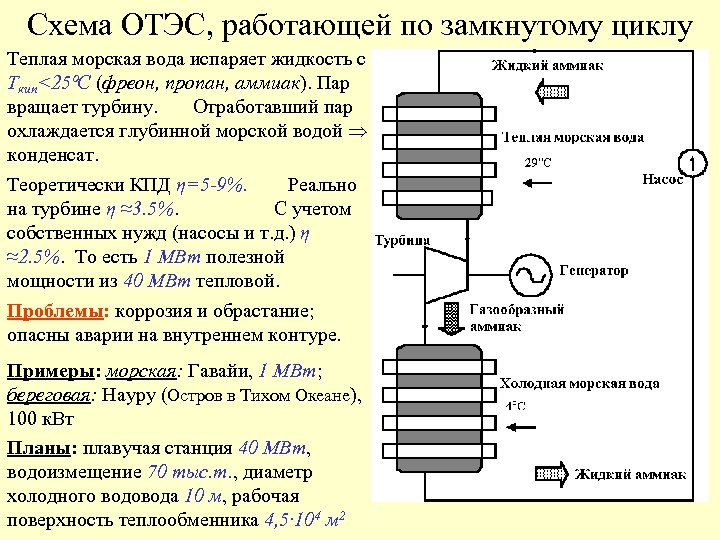 Схема ОТЭС, работающей по замкнутому циклу Теплая морская вода испаряет жидкость с Ткип<25ºC (фреон,