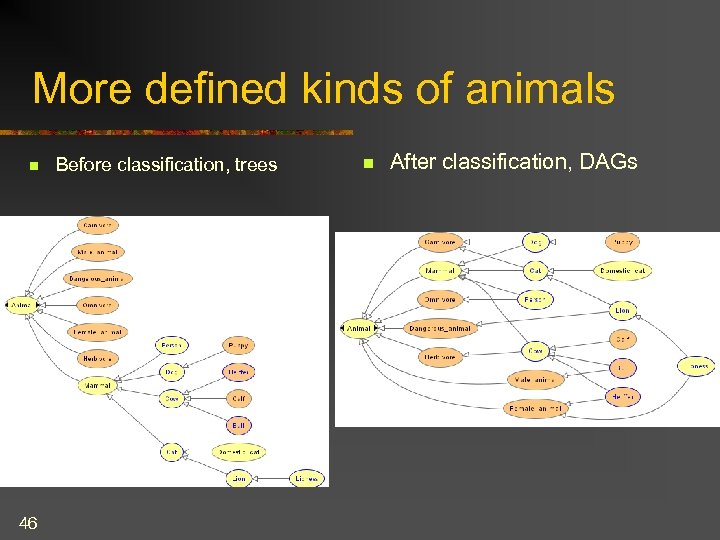 More defined kinds of animals n 46 Before classification, trees n After classification, DAGs