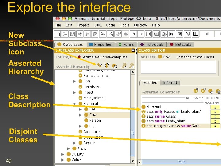 Explore the interface New Subclass icon Asserted Hierarchy Class Description Disjoint Classes 49 