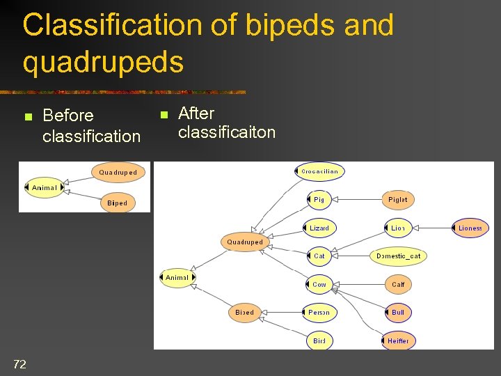 Classification of bipeds and quadrupeds n 72 Before classification n After classificaiton 