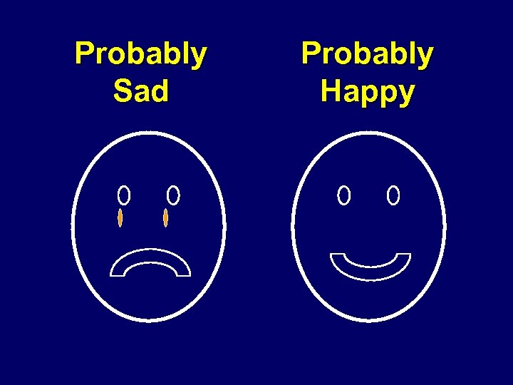 Probably Sad Probably Happy 