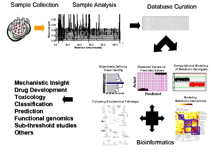 Sample Analysis Sample Collection Database Curation Response (µA) 0. 80 0. 60 0. 40