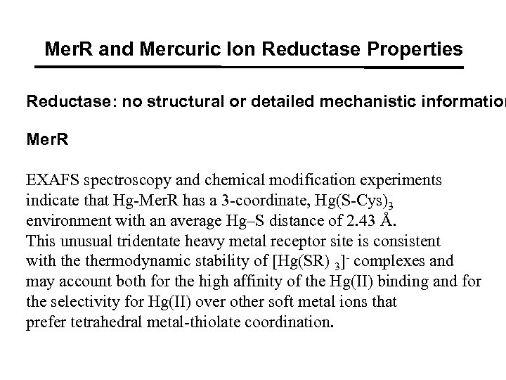 Mer. R and Mercuric Ion Reductase Properties Reductase: no structural or detailed mechanistic information
