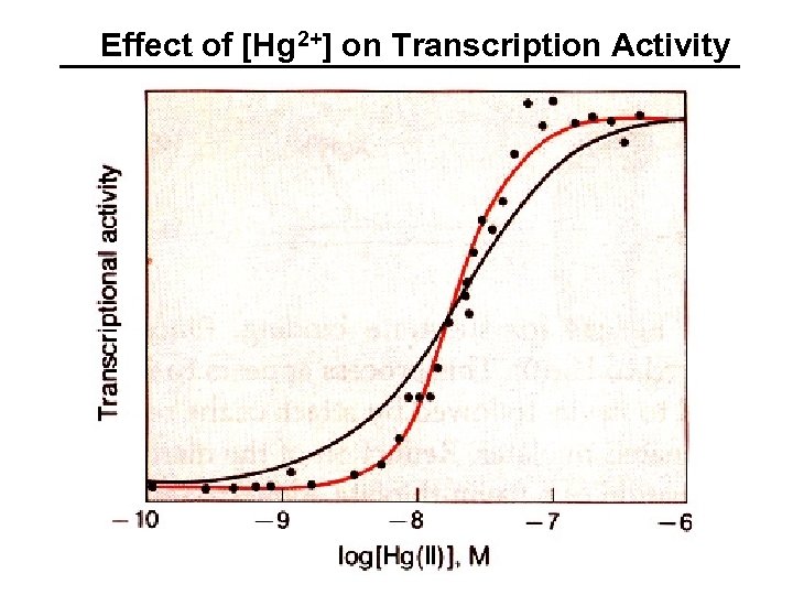 Effect of [Hg 2+] on Transcription Activity 