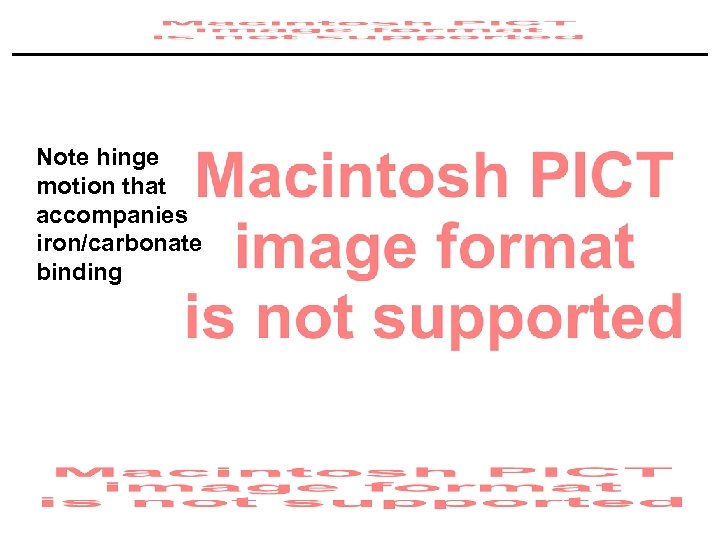 Note hinge motion that accompanies iron/carbonate binding 