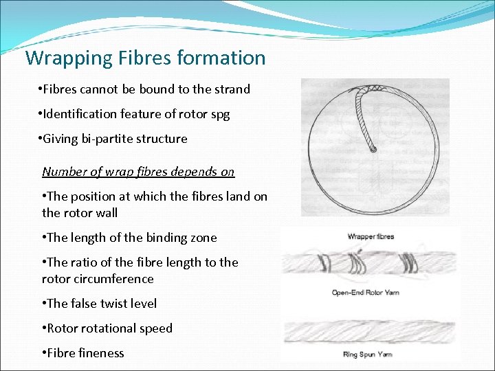 Wrapping Fibres formation • Fibres cannot be bound to the strand • Identification feature