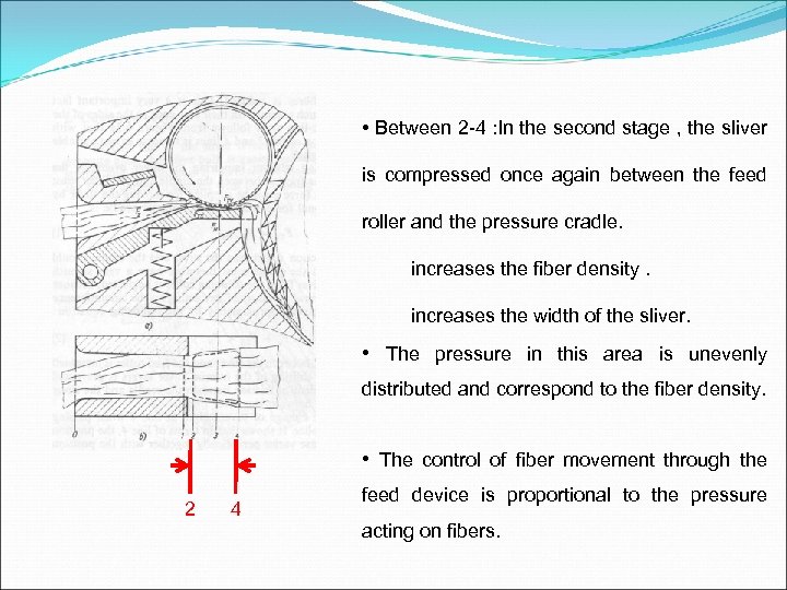  • Between 2 -4 : In the second stage , the sliver is