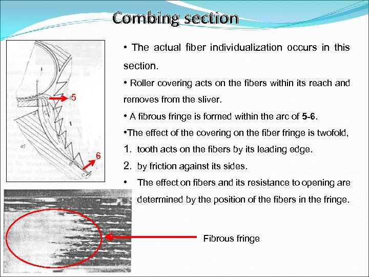 Combing section • The actual fiber individualization occurs in this section. • Roller covering