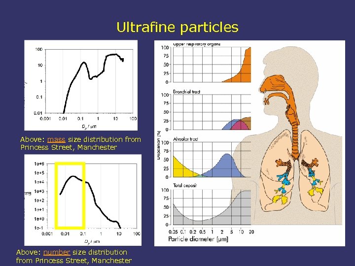 Ultrafine particles Above: mass size distribution from Princess Street, Manchester Above: number size distribution