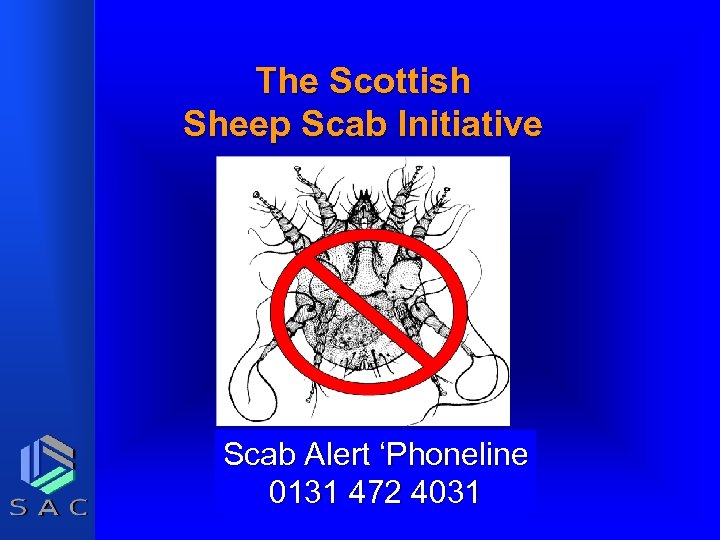 The Scottish Sheep Scab Initiative Scab Alert ‘Phoneline 0131 472 4031 