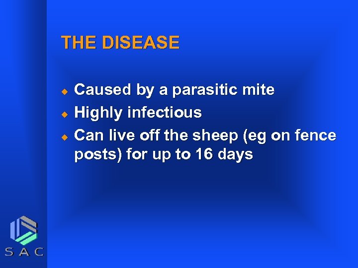 THE DISEASE u u u Caused by a parasitic mite Highly infectious Can live