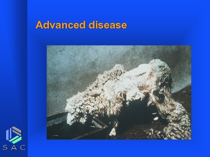 Advanced disease 