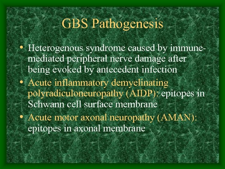 GBS Pathogenesis • Heterogenous syndrome caused by immunemediated peripheral nerve damage after being evoked