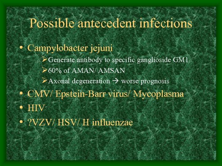 Possible antecedent infections • Campylobacter jejuni ØGenerate antibody to specific ganglioside GM 1 Ø
