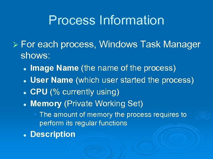 Process Information Ø For each process, Windows Task Manager shows: l l Image Name