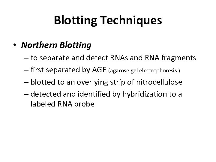 Blotting Techniques • Northern Blotting – to separate and detect RNAs and RNA fragments
