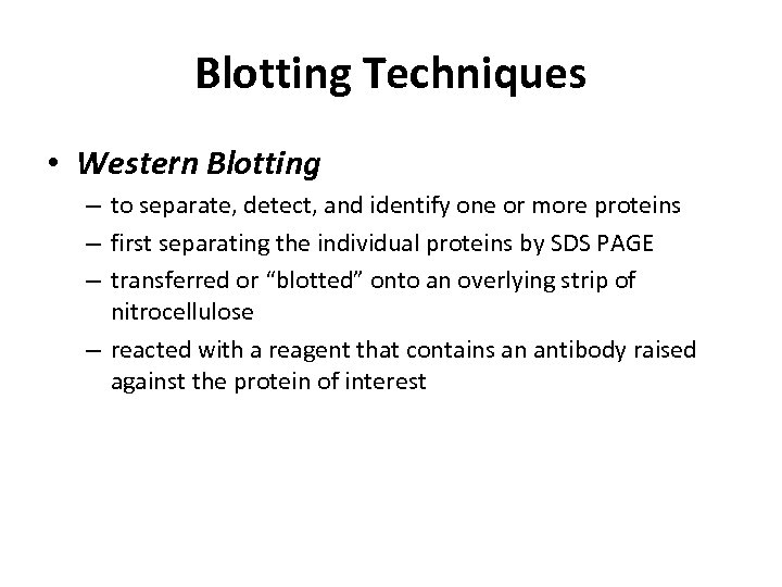 Blotting Techniques • Western Blotting – to separate, detect, and identify one or more
