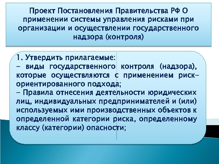 Проект Постановления Правительства РФ О применении системы управления рисками при организации и осуществлении государственного