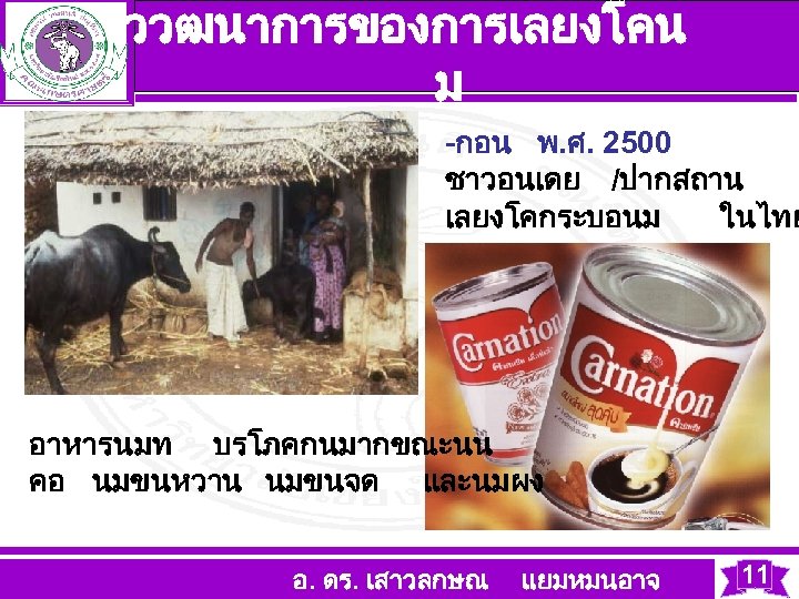 ววฒนาการของการเลยงโคน ม -กอน พ. ศ. 2500 ชาวอนเดย /ปากสถาน เลยงโคกระบอนม ในไทย อาหารนมท บรโภคกนมากขณะนน คอ นมขนหวาน