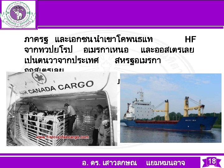 ชวง 2531 - 2545 ภาครฐ และเอกชน นำเขาโคพนธแท HF จากทวปยโรป อเมรกาเหนอ และออสเตรเลย เปนตนวาจากประเทศ สหรฐอเมรกา ออสเตรเลย